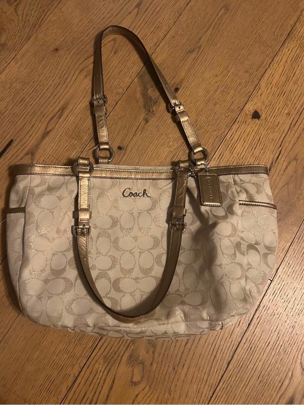 Coach Beige Metallic Tote Bag